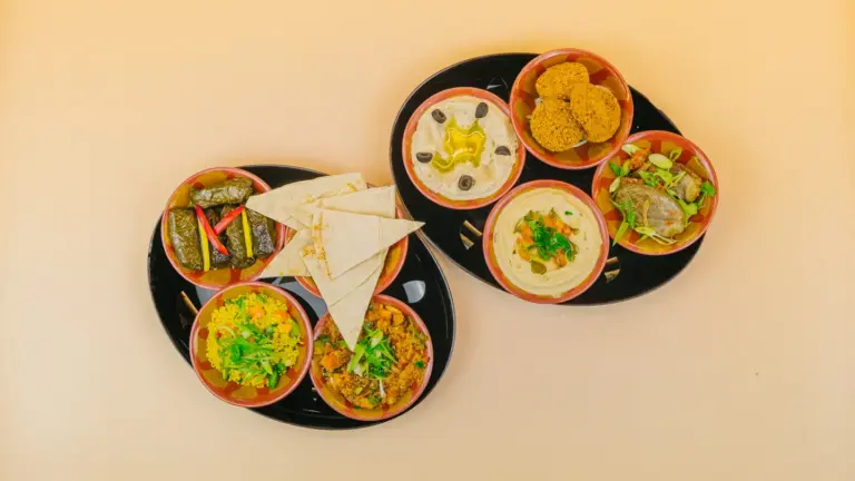 Zwei schwarze Teller mit verschiedenen Vorspeisen wie gefüllte Weinblätter, Fladenbrot, Falafel, Hummus und Salat auf hellem Untergrund